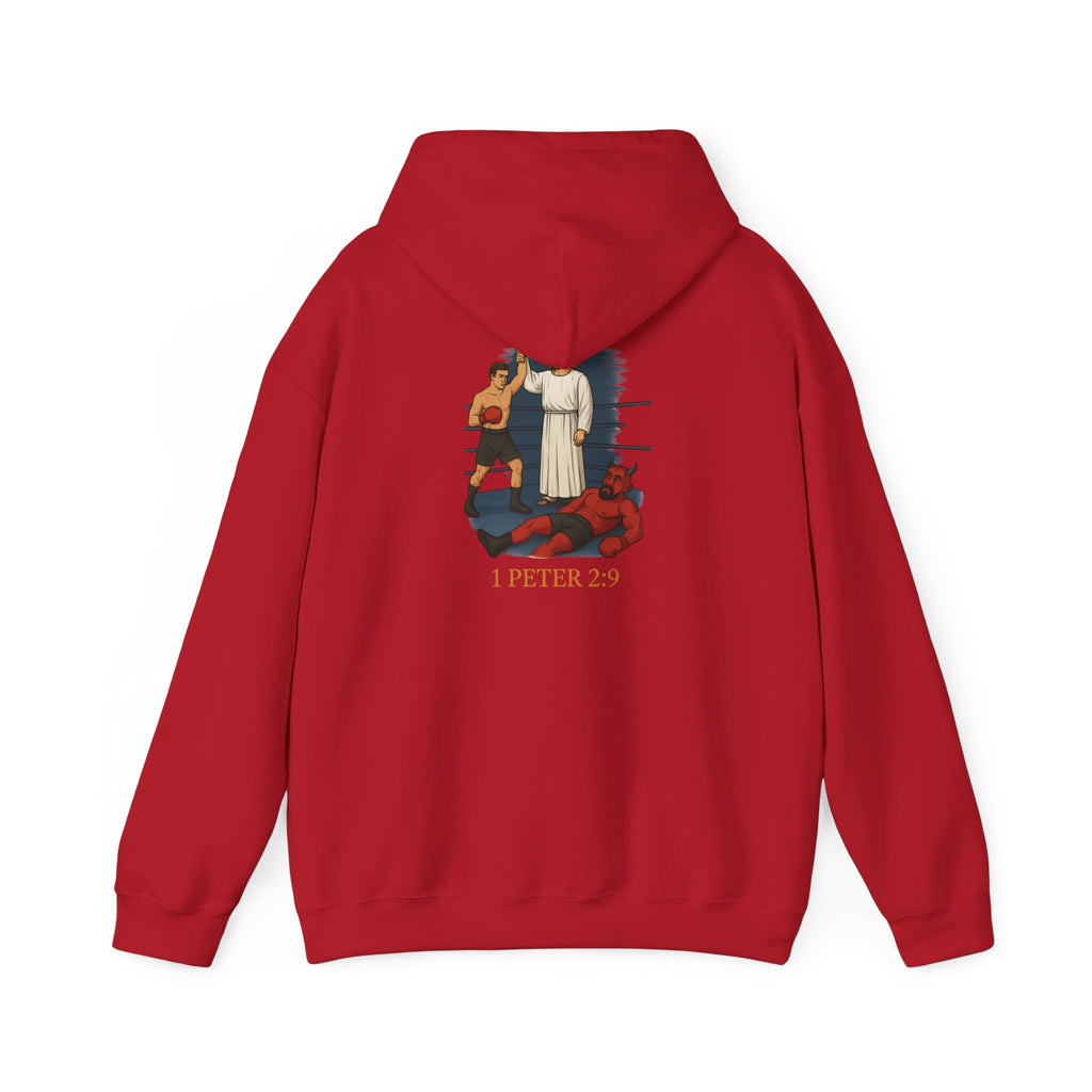 Christian Hoodie - 1 Peter 2:9 Faith Unisex Sweatshirt