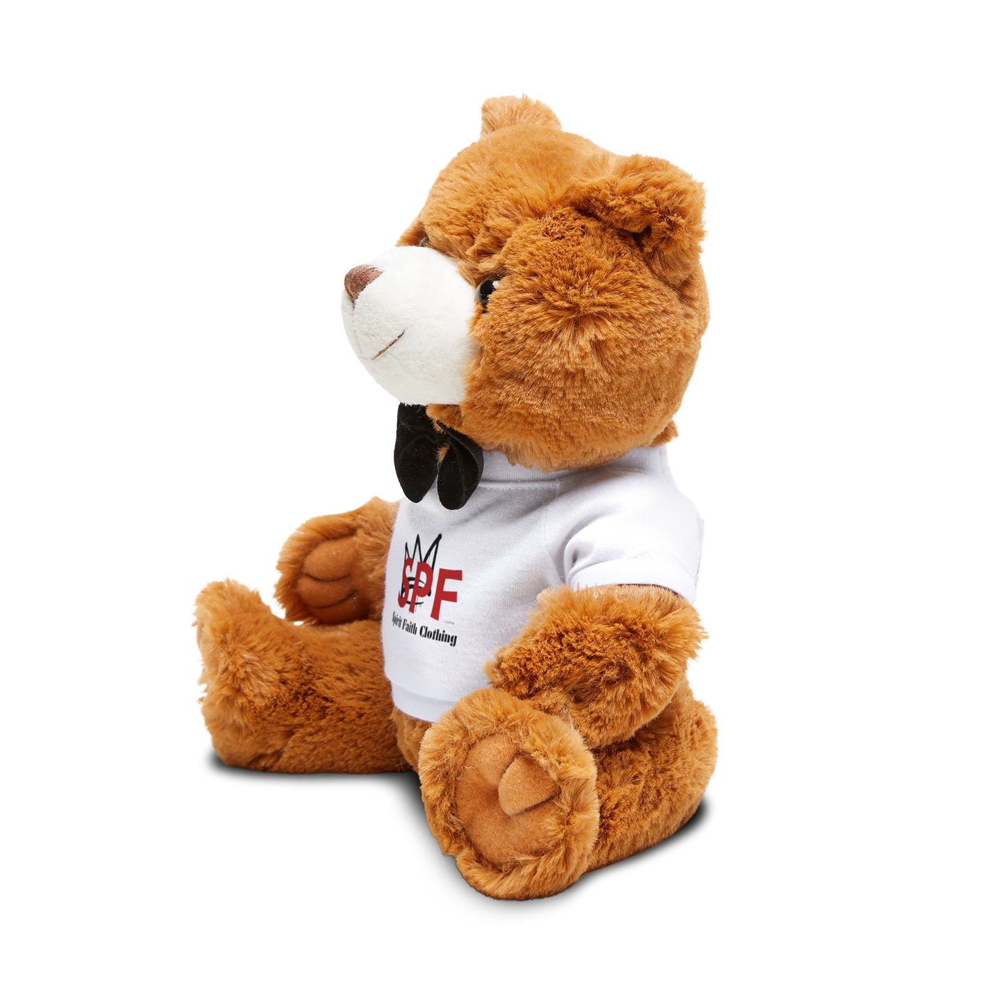 Teddy Bear with T-Shirt