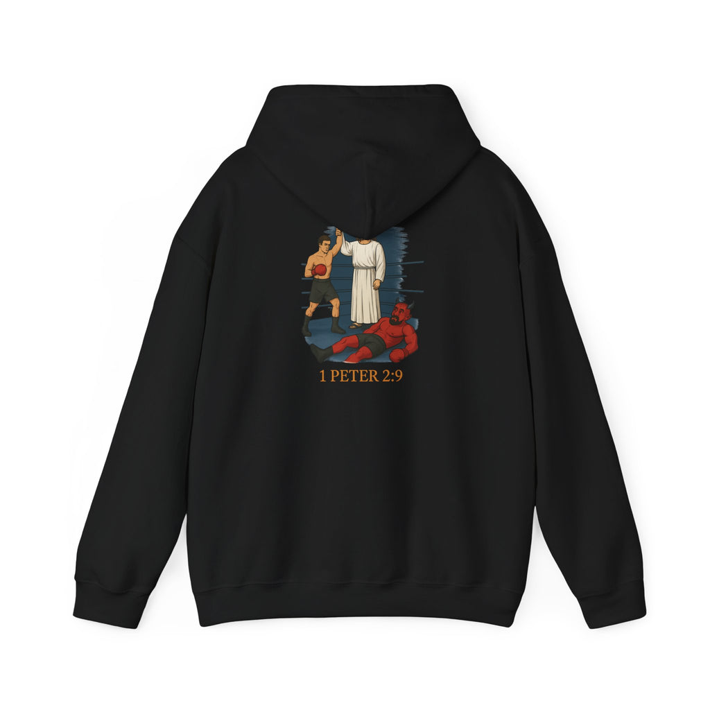 Christian Hoodie - 1 Peter 2:9 Faith Unisex Sweatshirt