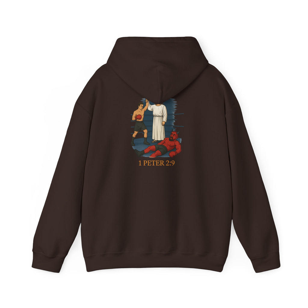 Christian Hoodie - 1 Peter 2:9 Faith Unisex Sweatshirt