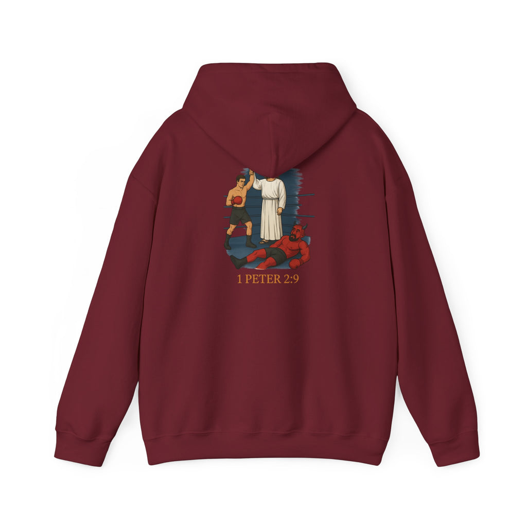 Christian Hoodie - 1 Peter 2:9 Faith Unisex Sweatshirt